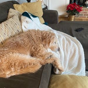 Meet your Posher, Breckyn